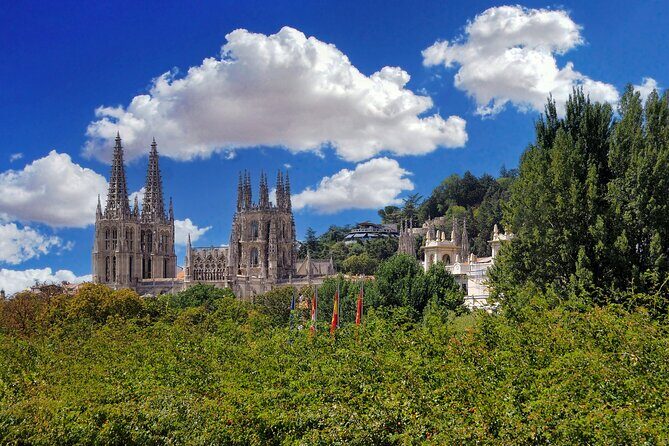Full-Day Private Tour in Burgos from Madrid with Pick Up - Who Should Consider This Tour?