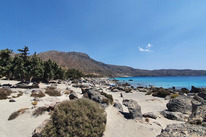 Full-Day Private Tour in Elafonisi Pink Beach - Who Should Consider This Tour?