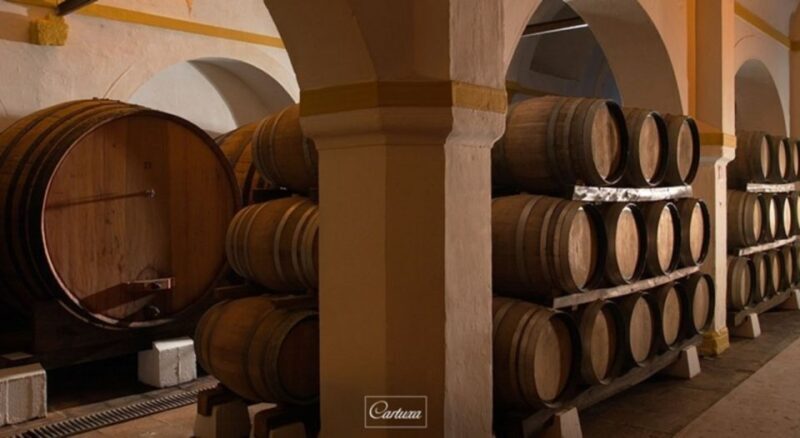 Full-Day Private Tour in Évora with Winery Tour from Lisbon - A Deep Dive into the Évora Experience