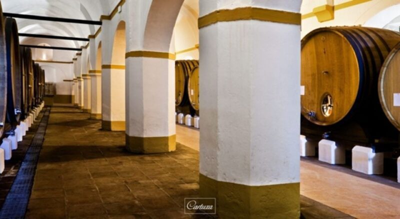 Full-Day Private Tour in Évora with Winery Tour from Lisbon - Who Will Love This Tour?