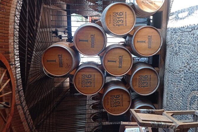 Full-Day Private Tour in Guadalajara - Final Thoughts