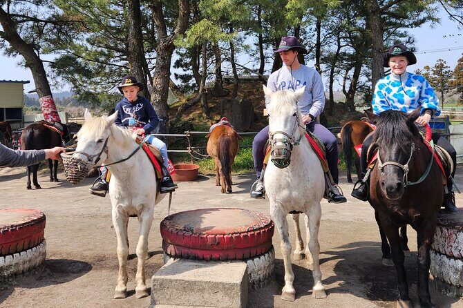 Full-Day Private Tour in Jeju Island - Is It Worth the Price?