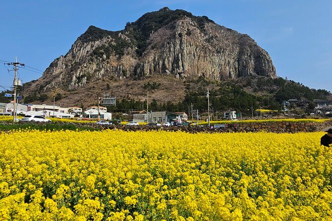 Full-Day Private Tour in Jeju Island - Final Thoughts
