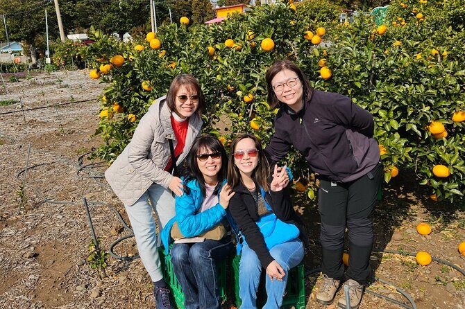 Full-Day Private Tour in Jeju Island - FAQ