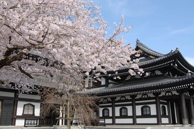Full Day Private Tour In Kamakura English Speaking Driver - Who Will Love This Tour?