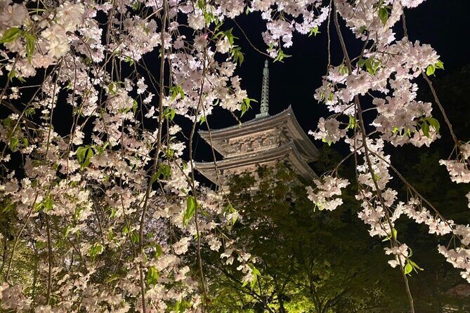 Full Day Private Tour in Kyoto with Pickup - FAQ