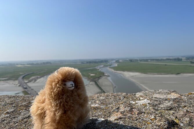 Full-day Private Tour in Mont Saint Michel with Calvados Tasting - What Could Be Better?