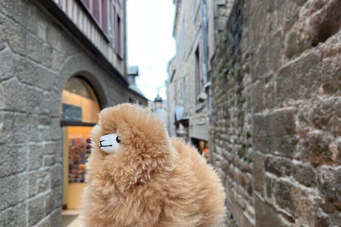 Full-day Private Tour in Mont Saint Michel with Calvados Tasting - Final Thoughts