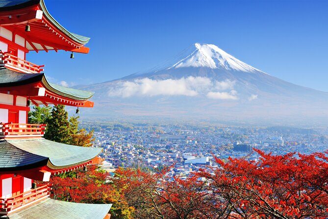 Full Day Private Tour in Mt. Fuji and Hakone - Final Thoughts