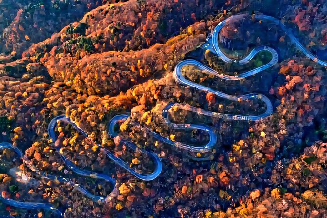 Full Day Private Tour in Nikko - Who Will Love This Tour?