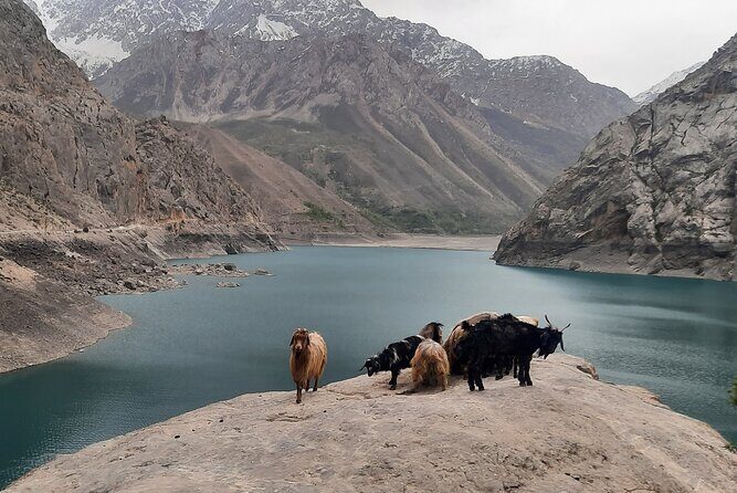 Full Day Private Tour in Seven Lakes from Samarkand - FAQ