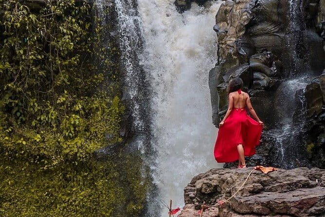 Full Day Private Tour in Ubud Jungle Swing and Waterfalls - Key Points