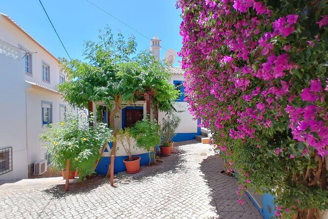 Full Day Private Tour in Western Algarve - Why the Private Tour Model Works