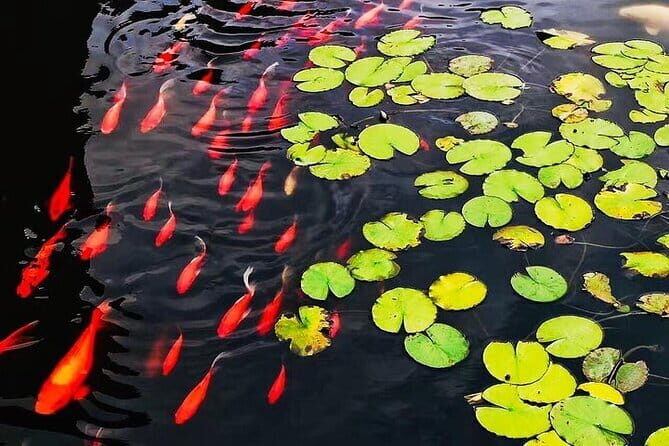 Full Day Private Tour Incredible Hangzhou Highlight - FAQ