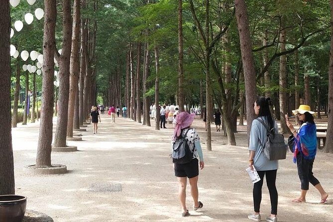 [ Full Day Private Tour ] Nami Island and Petite France - Transportation & Timing