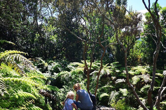 Full-Day Private Tour of Faial - Final Thoughts: Is This Tour Worth It?