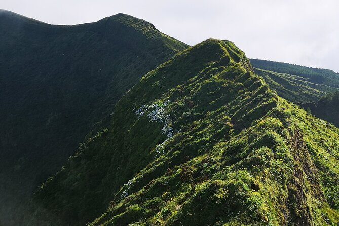 Full-Day Private Tour of Faial - FAQ
