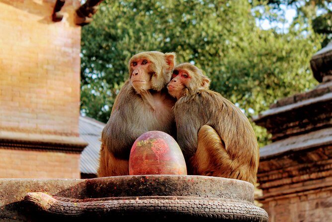Full Day Private Tour of Kathmandu - UNESCO World Heritage Sites - The Sum Up