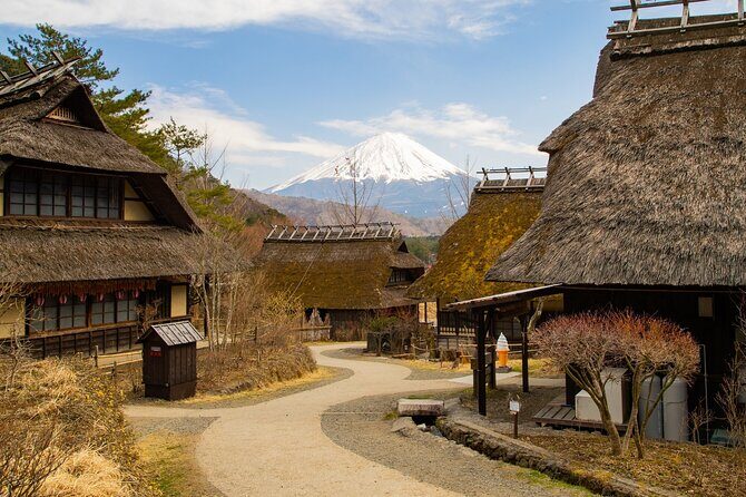 Full Day Private Tour of Mt Fuji and Hakone - A Deep Dive into the Tour Itinerary