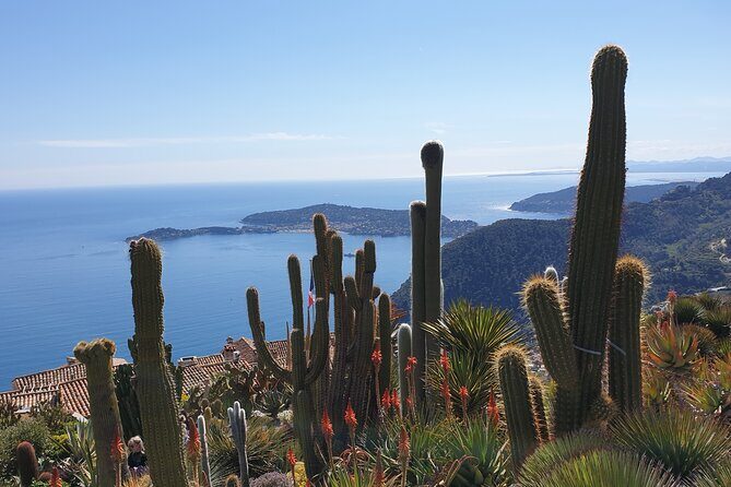 Full-Day Private Tour of Nice, Monaco and Eze Village with private guide - Authentic Insights from Past Travelers