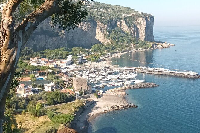 Full-Day Private Tour of Positano, Sorrento and Pompeii from Naples - Who This Tour Is Best For