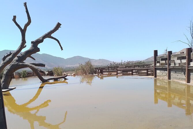 Full Day Private Tour or Guadalupe Valley Weekend - An In-Depth Look at the Valle de Guadalupe Tour