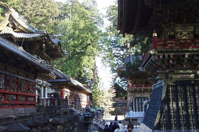 Full Day Private tour & sightseeing to Nikko(Eng speaking Driver) - Transportation and Flexibility