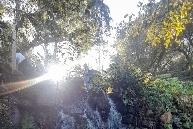 Full Day Private Tour Sintra Cape Roca Cascais up to 7 w/pick up - FAQ