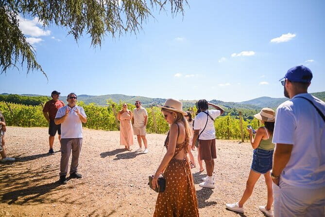 Full day private tour to Chianti wine region from Florence - A Detailed Look at the Tour Experience