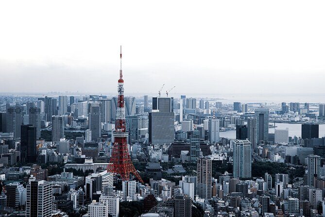 Full-Day Private Tour to Discover The Best of Tokyo - Who Might Want to Consider Alternatives?