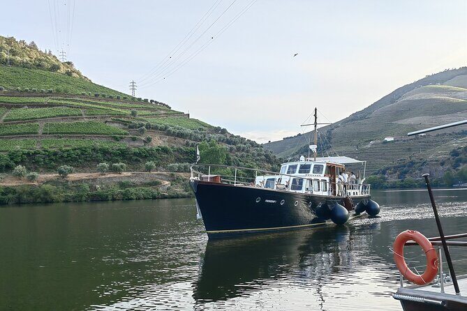 Full Day Private Tour to Douro - Vintage Experience - An In-Depth Look at the Douro Vintage Experience