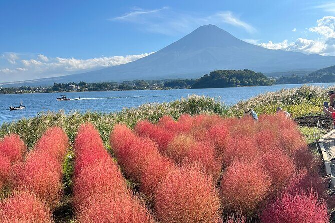 Full Day Private Tour to Mount Fuji and Hakone - An In-Depth Look at the Itinerary