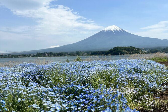 Full Day Private Tour to Mount Fuji and Hakone - Transportation and Pricing: What This Means for You