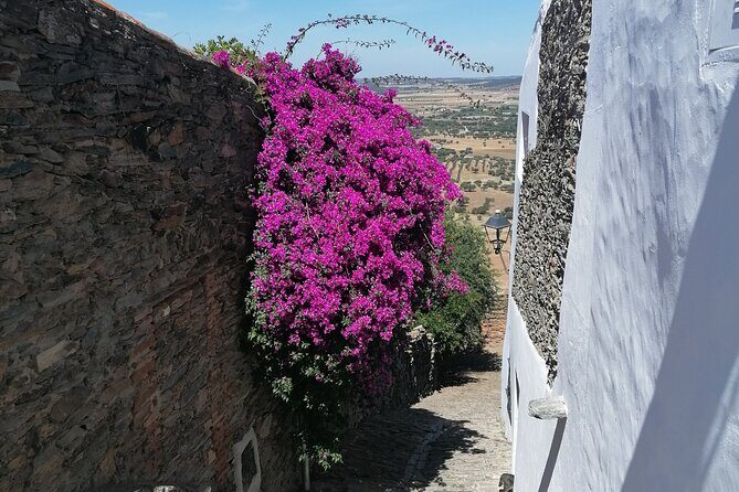 FULL DAY Private Tour to Sintra, Queluz, Cabo da Roca, and Cascais - Explore Portugal’s Charm on a Full Day Private Tour to Sintra, Queluz, Cabo da Roca, and Cascais