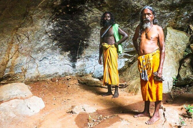 Full Day Private Tour to the Vedda Aboriginal Village - Key Points