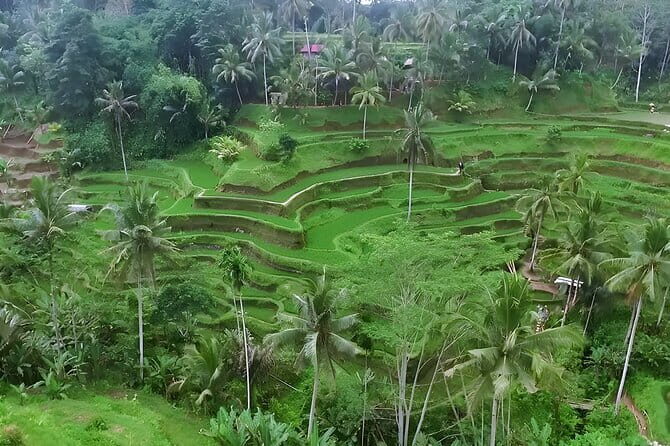 Full Day Private Tour to Ubud Waterfall and Uluwatu Sunset - Practicalities & Experience Highlights