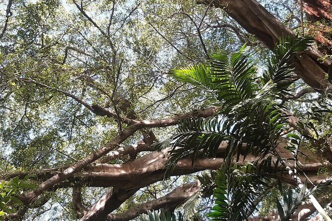 Full-Day Private Tour to Yakel Village, Waterfall and Mt Yasur Volcano - Practical Considerations and What to Expect