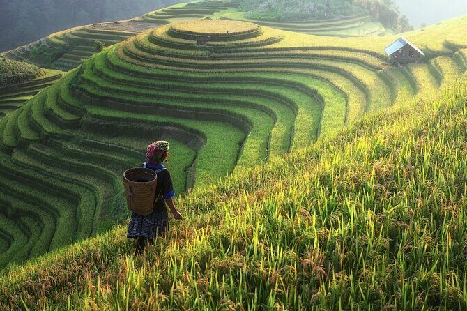 Full-Day Private Trekking Adventure in Sapa - Who This Tour Is Best For