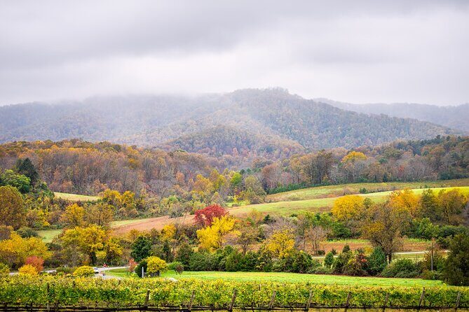 Full-Day Private Virginia Wine Tour Experience from Washington - Final Thoughts: Who Should Consider This Tour?