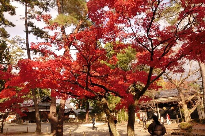 Full Day Private Walking Day Tour in Kyoto with Tea - FAQ