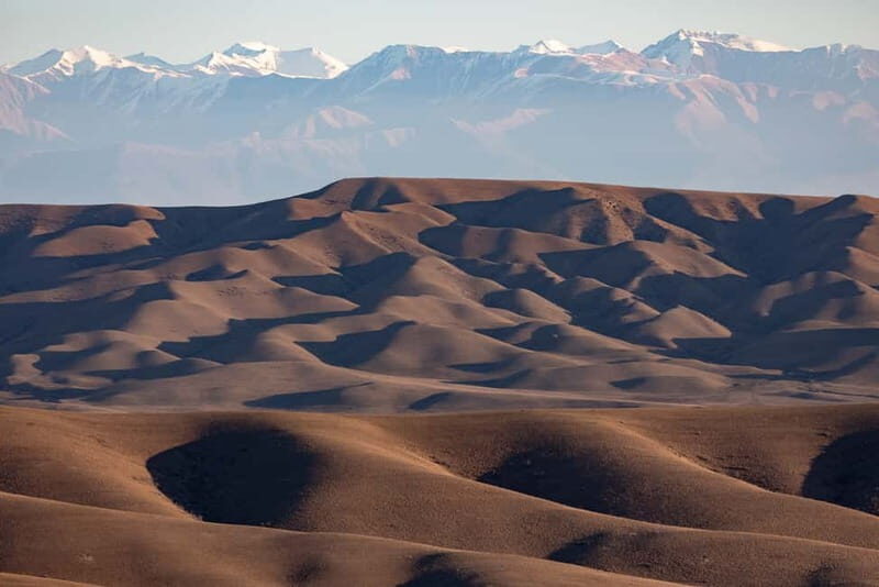 Full-day Private Wilderness tour in Vashlovani National Park - Discovering Vashlovani: An Unmatched Wilderness Experience