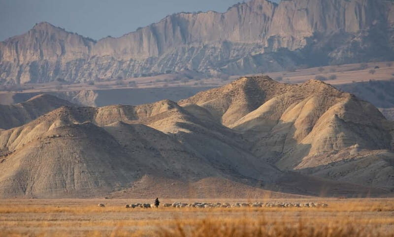 Full-day Private Wilderness tour in Vashlovani National Park - Final Thoughts