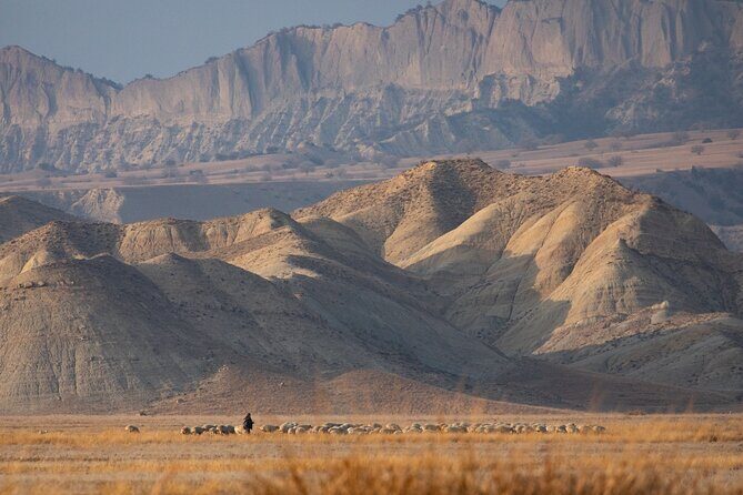 Full-Day Private Wilderness Tour in Vashlovani National Park - Analyzing the Value