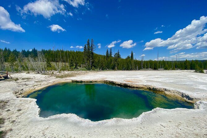 Full Day Private Wildlife/Geyser Tour from West Yellowstone - Exploring Yellowstone’s South Loop: A Detailed Look
