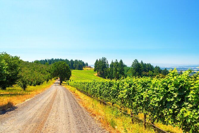 Full Day Private Willamette Valley Wine Tour from Portland - A Well-Crafted Itinerary for Wine Enthusiasts and Scenic Seekers