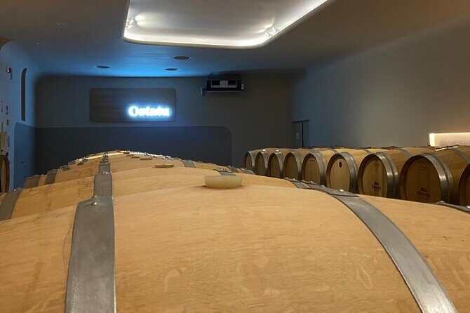 Full-Day Private Wine Tasting Tour in La Rioja with lunch - Practical Details and Considerations