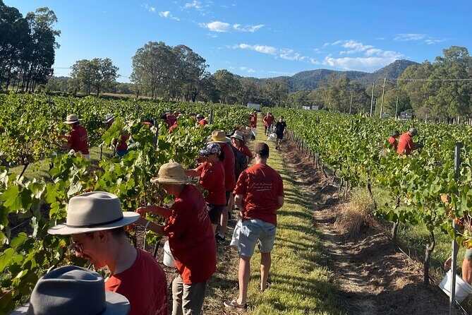 Full Day Private Wine Tour Exclusively Tailored To Suit You - An In-Depth Look at the Tour Experience