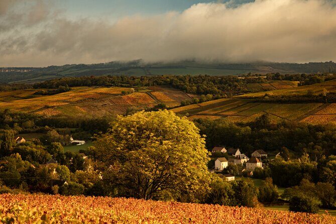 Full-Day Private Wine Tour in Côte de Beaune - Introduction: What Makes This Tour Special?