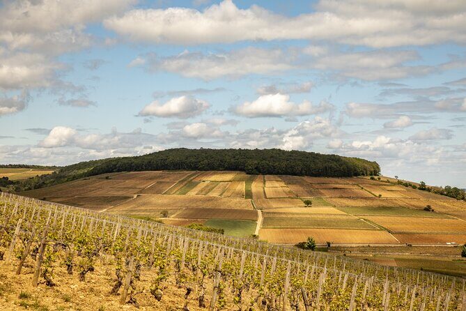Full-Day Private Wine Tour in Côte de Beaune - What’s Included and What To Consider