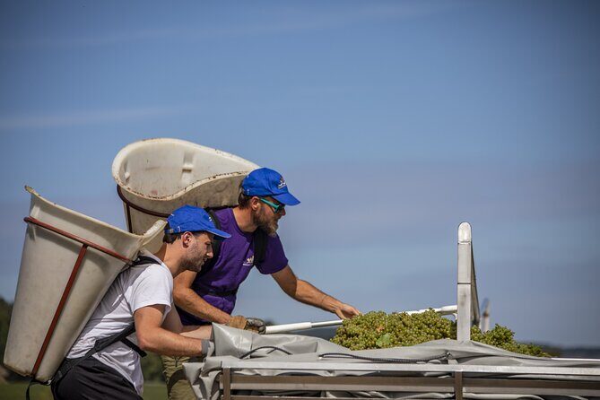 Full-Day Private Wine Tour in Côte de Beaune - Who Is This Tour Best For?